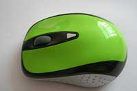 Item# zj-2801