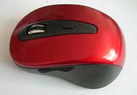 Item# zj-2810